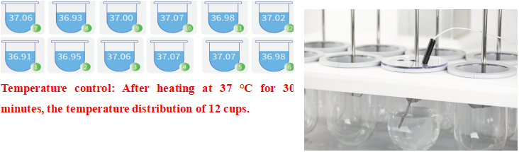 DS-1406AT Automatic Sampling Dissolution System
